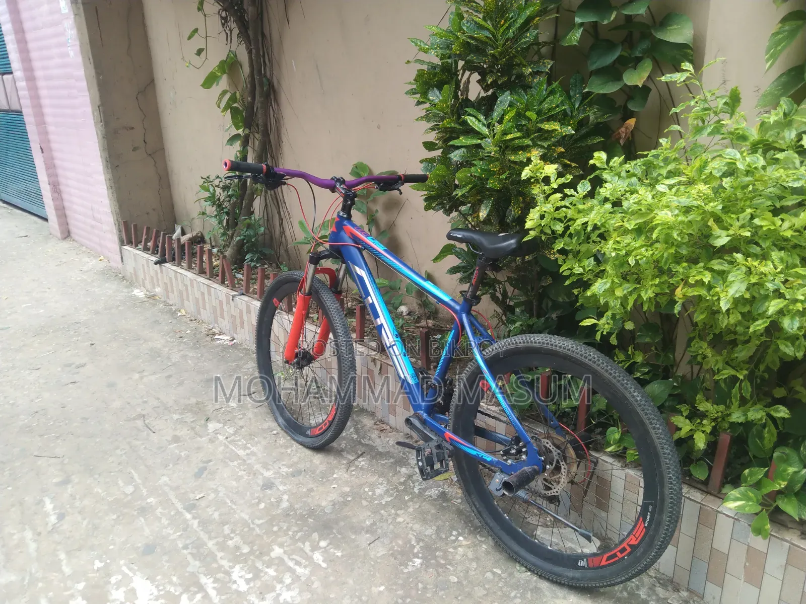By Cycle Full Fresh