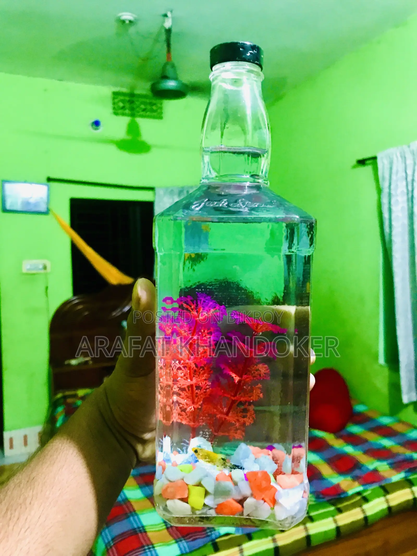 টেরারিয়াম এবং ইউনিক অ্যাকোরিয়াম বিক্রয়
