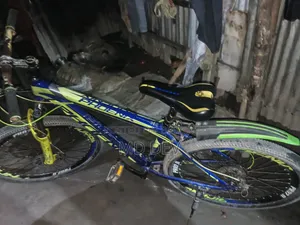 ভালো সাইকেল টাকা দরকার অনেক
