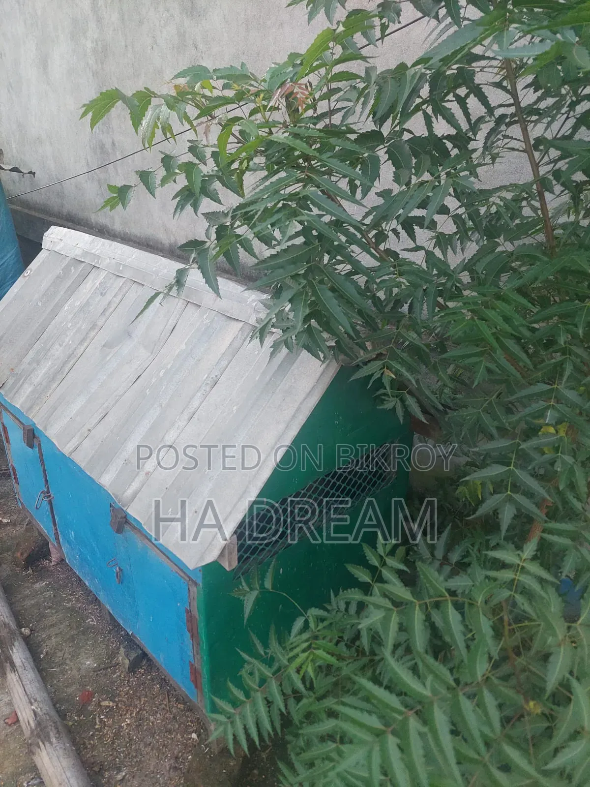 Chicken Coop Sell