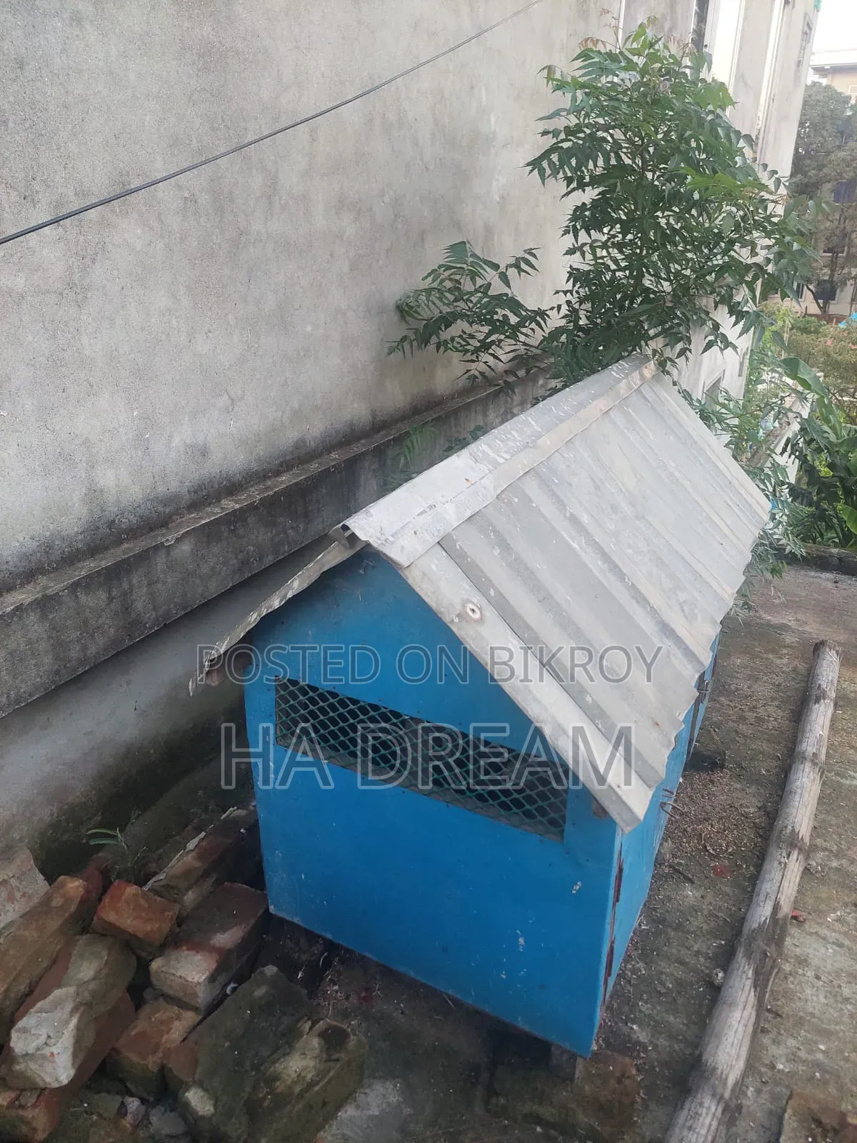 Chicken Coop Sell