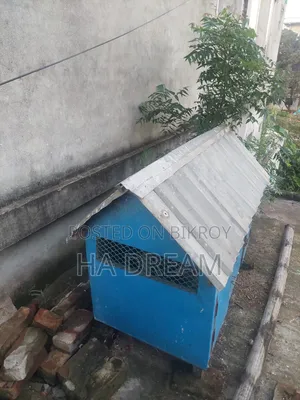 Chicken Coop Sell