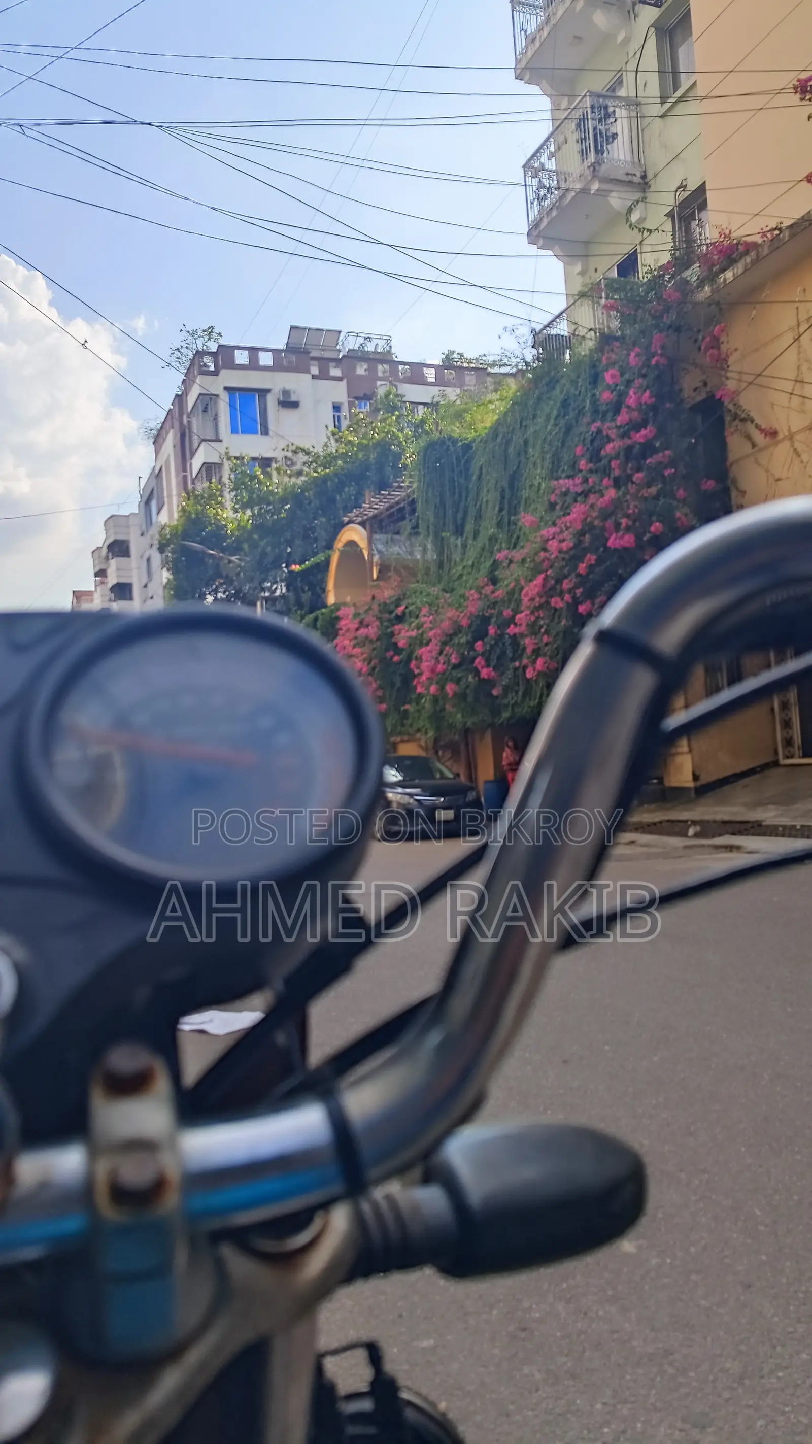 Runner AD80S-DELUXE ২০১৯ নীল