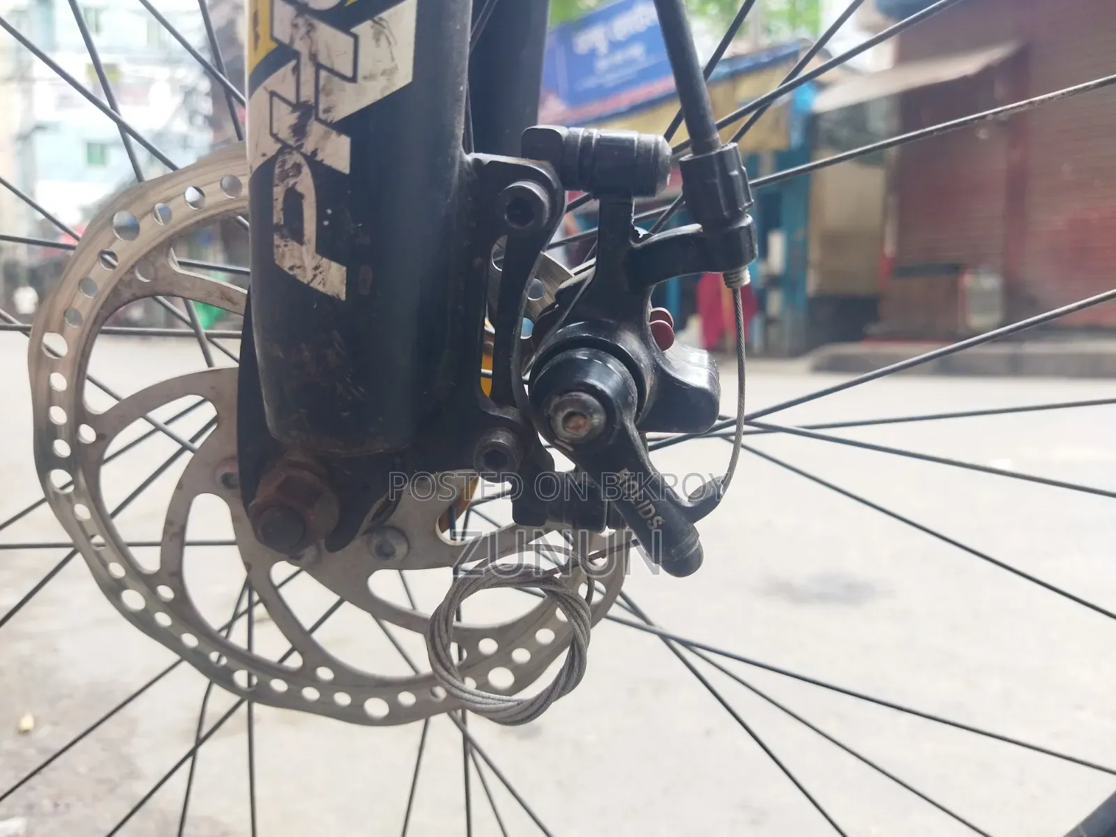 ফিনিক্স হারিকেন