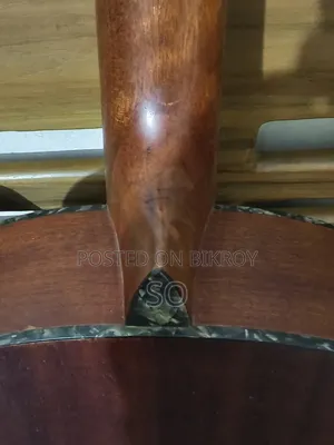 Giuliani GAG-36SS Acoustic Travel Guitar