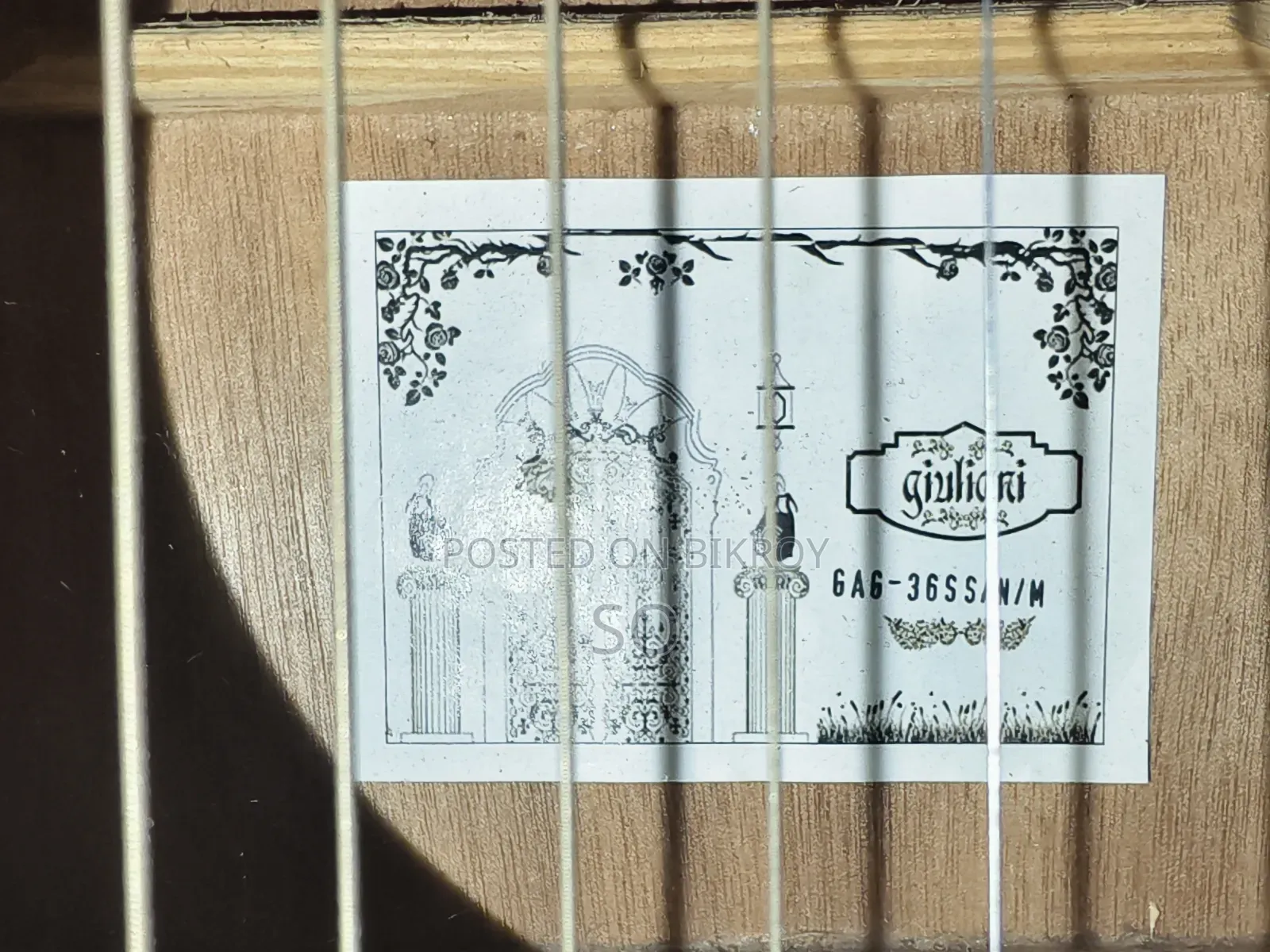 Giuliani GAG-36SS Acoustic Travel Guitar
