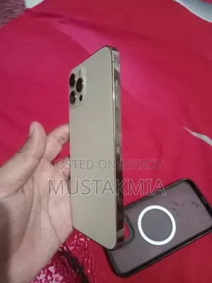 Apple iPhone 12 Pro Max 256 GB Gold