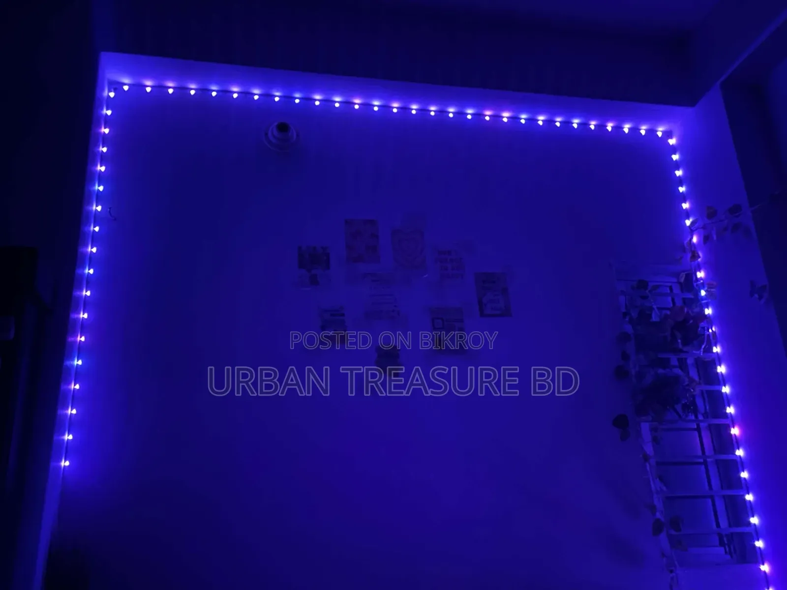 RGB Background Light