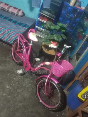 I will sell a baby girl's bicycle.