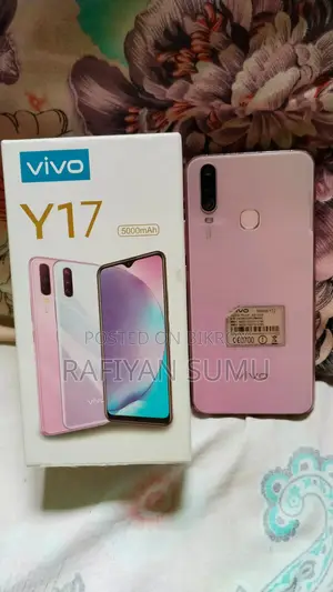 Vivo Y17 256 GB Pink