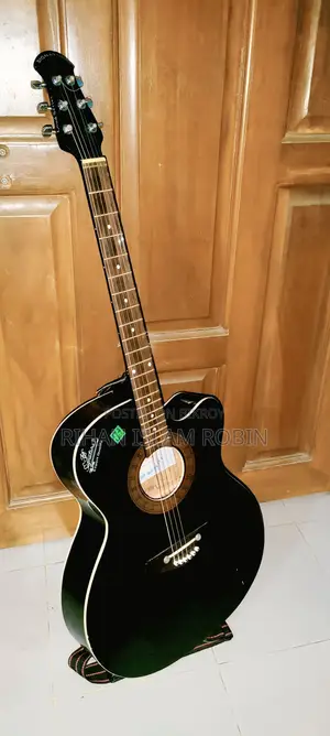 Signature Topaz 265 Acoustic Guitar