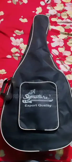 Signature Topaz 265 Acoustic Guitar