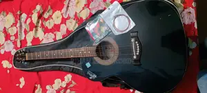 Signature Topaz 265 Acoustic Guitar