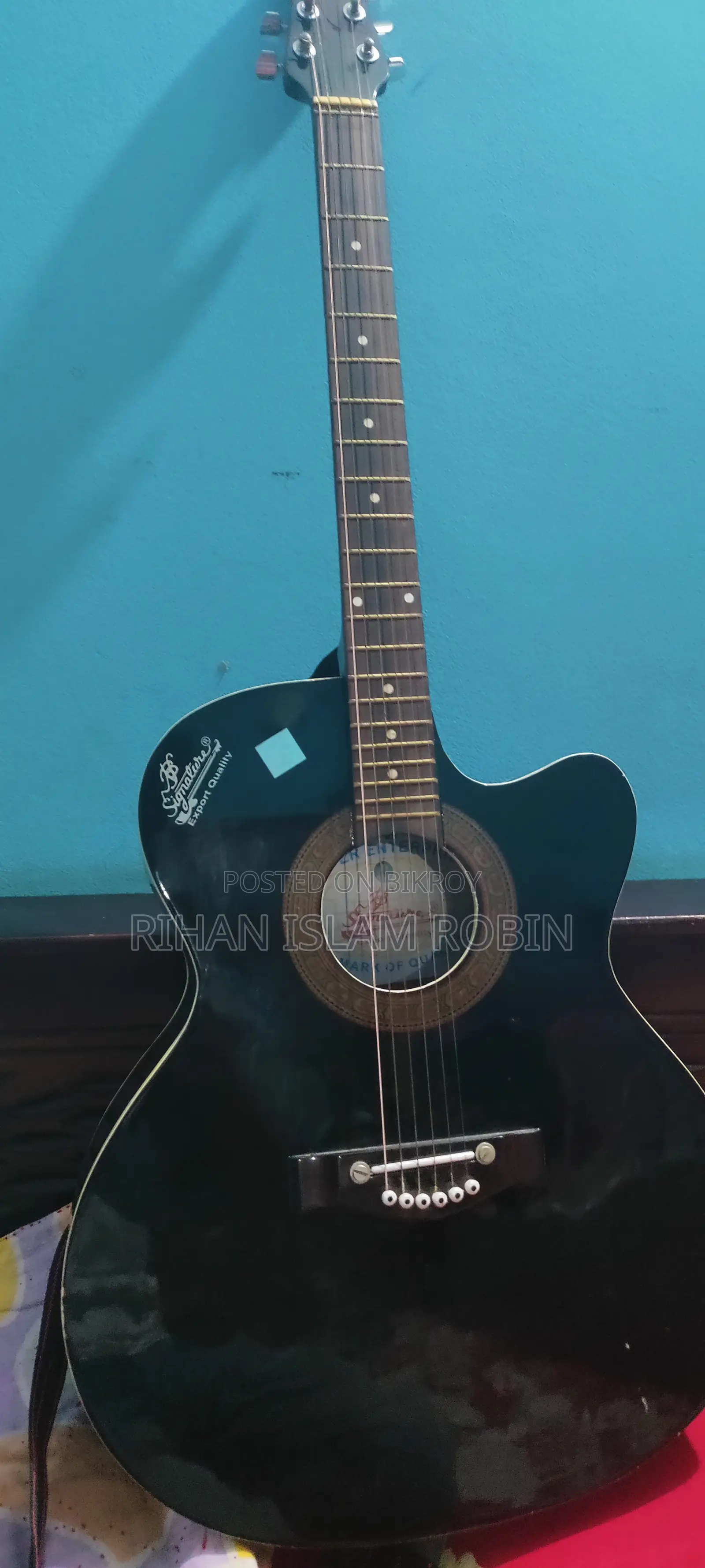 Signature Topaz 265 Acoustic Guitar