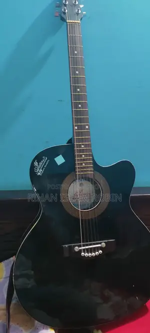 Signature Topaz 265 Acoustic Guitar