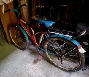 Normal Bicycle