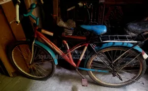 Normal Bicycle