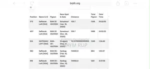 রেসার ফিমেল (৩০রেস কমপ্লিট )
