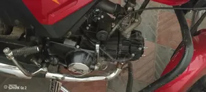 রোডমাস্টার ডিলাইট ২০২২ রেড