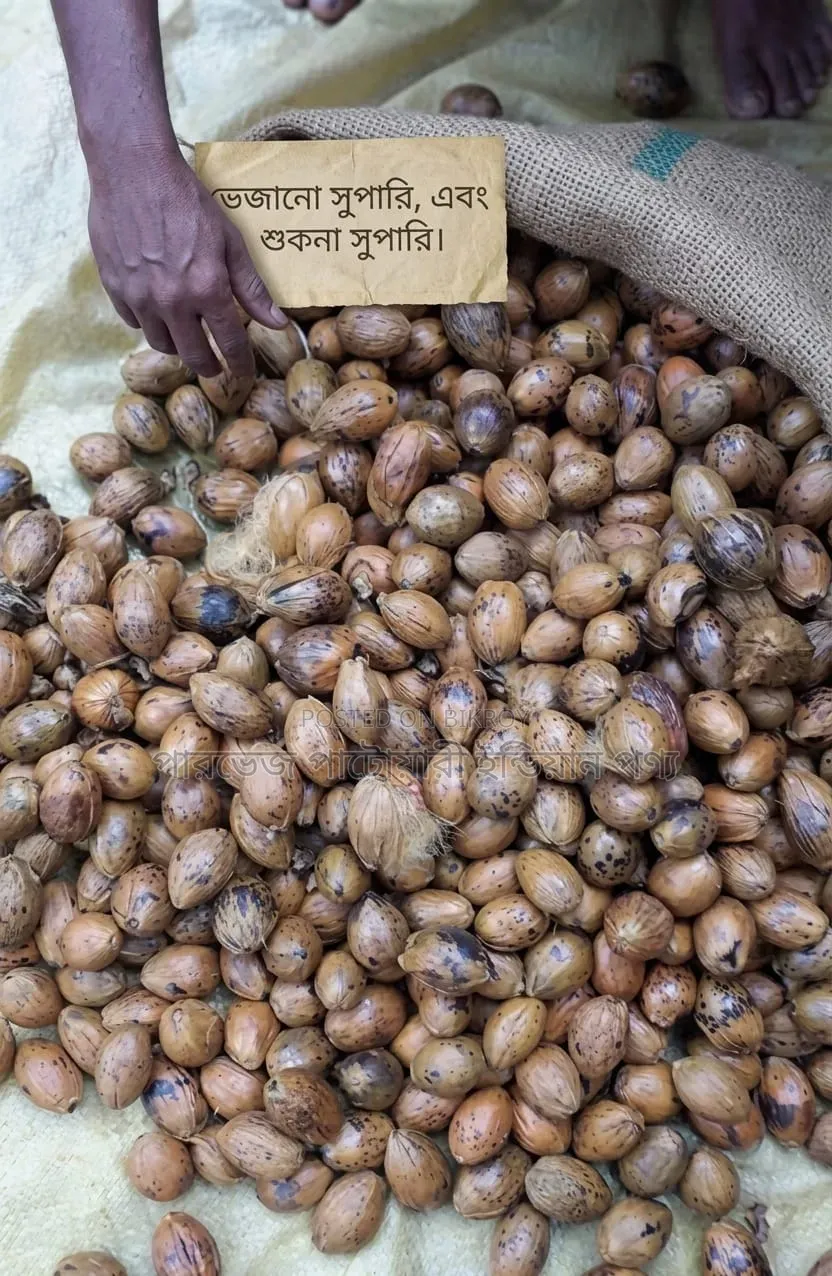 শুকনা সুপারি ও ভিজানো সুপরি বিক্রি হবে বাজার ছাড়া অনেক কম মুল্যে