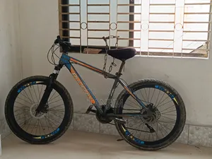 ফেনিক্স মাউন্টেইন বাইক