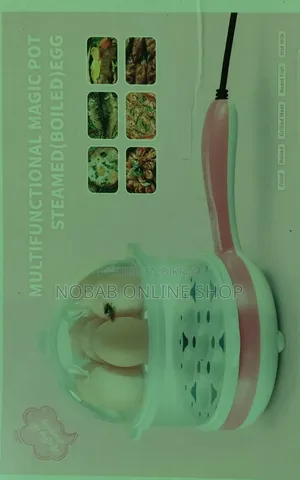 ডিম সিদ্ধ এবং ভাজার ম্যাজিক পট