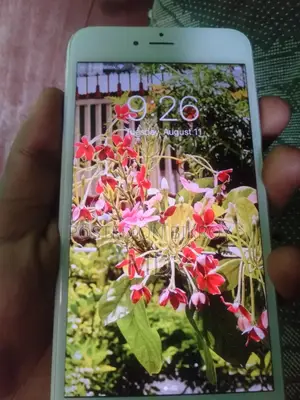 Apple iPhone 6s Plus 64 GB White