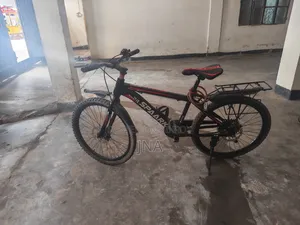 স্পার্ক সাইকেল