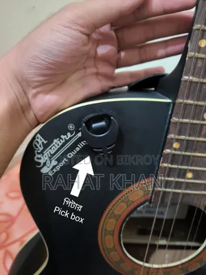 Signature Guitar for Sale