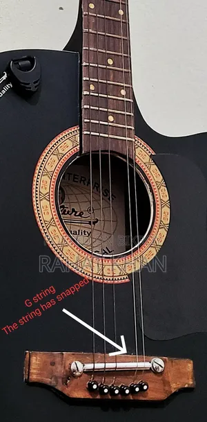 Signature Guitar for Sale