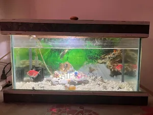 Aquarium Full Set