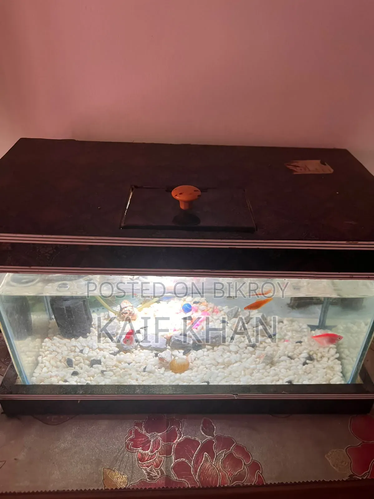 Aquarium Full Set