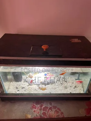Aquarium Full Set
