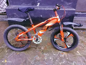 Medium 20" Bicycle