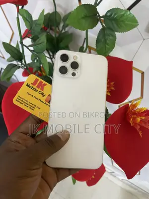 Apple iPhone 12 Pro Max 256 GB White