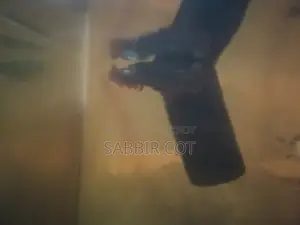 Galaxy Fighter Fish