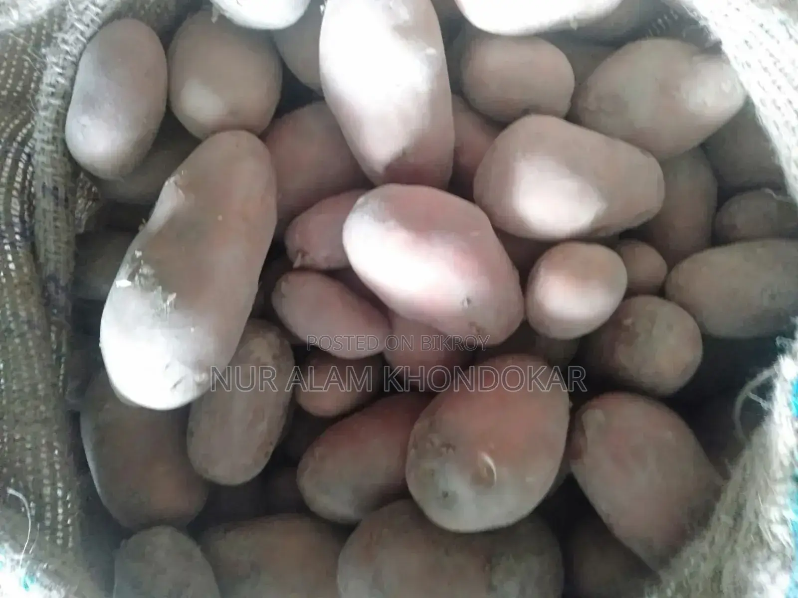 Cold Stored Potato Sticks 62x100
