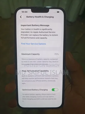 অ্যাপল আইফোন ১৩ প্রো ম্যাক্স ১২৮ জিবি নীল
