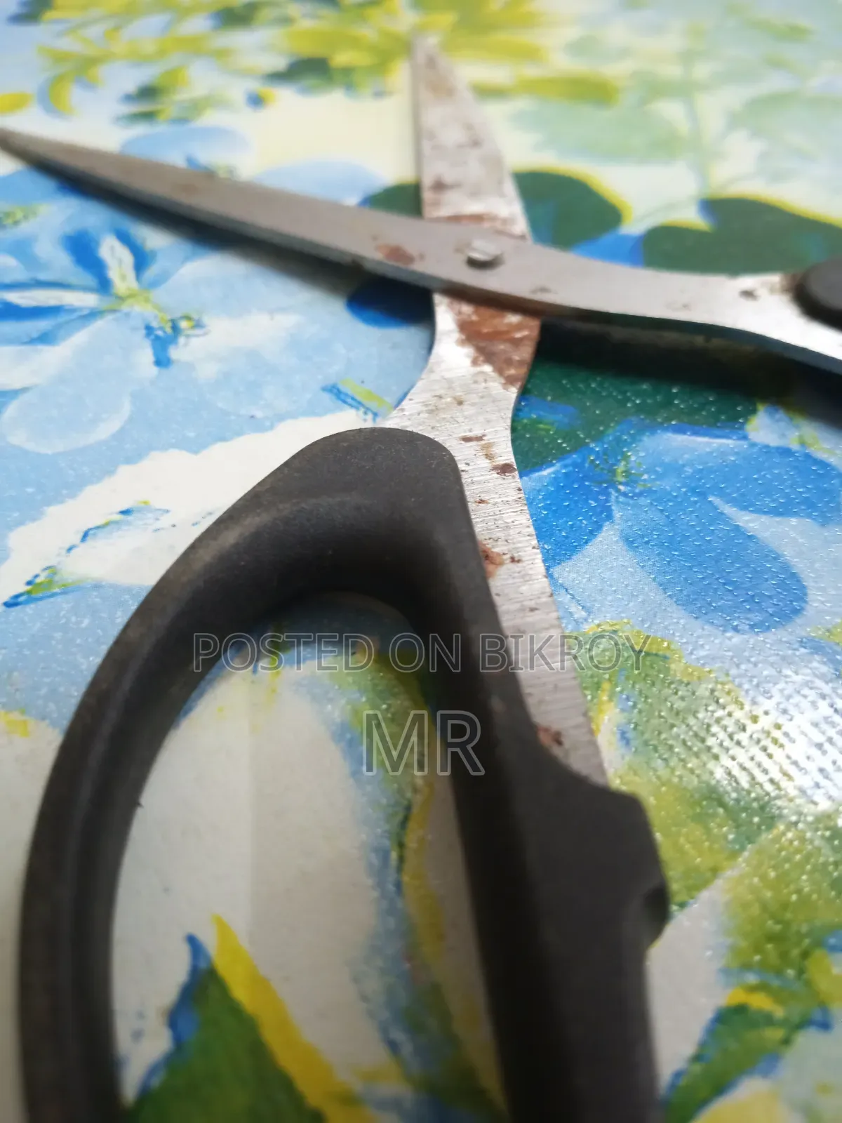 Kachi | Scissors | Cutting Tool (Scissors), a Soft or Young State