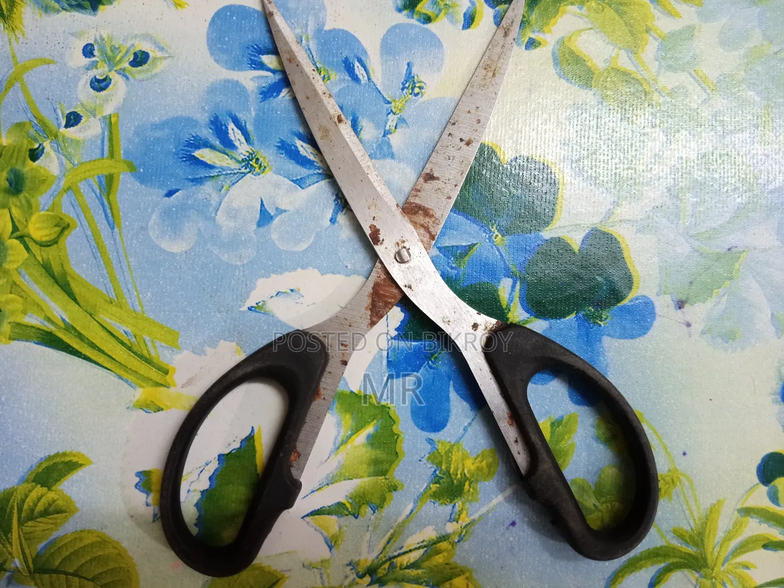 Kachi | Scissors | Cutting Tool (Scissors), a Soft or Young State