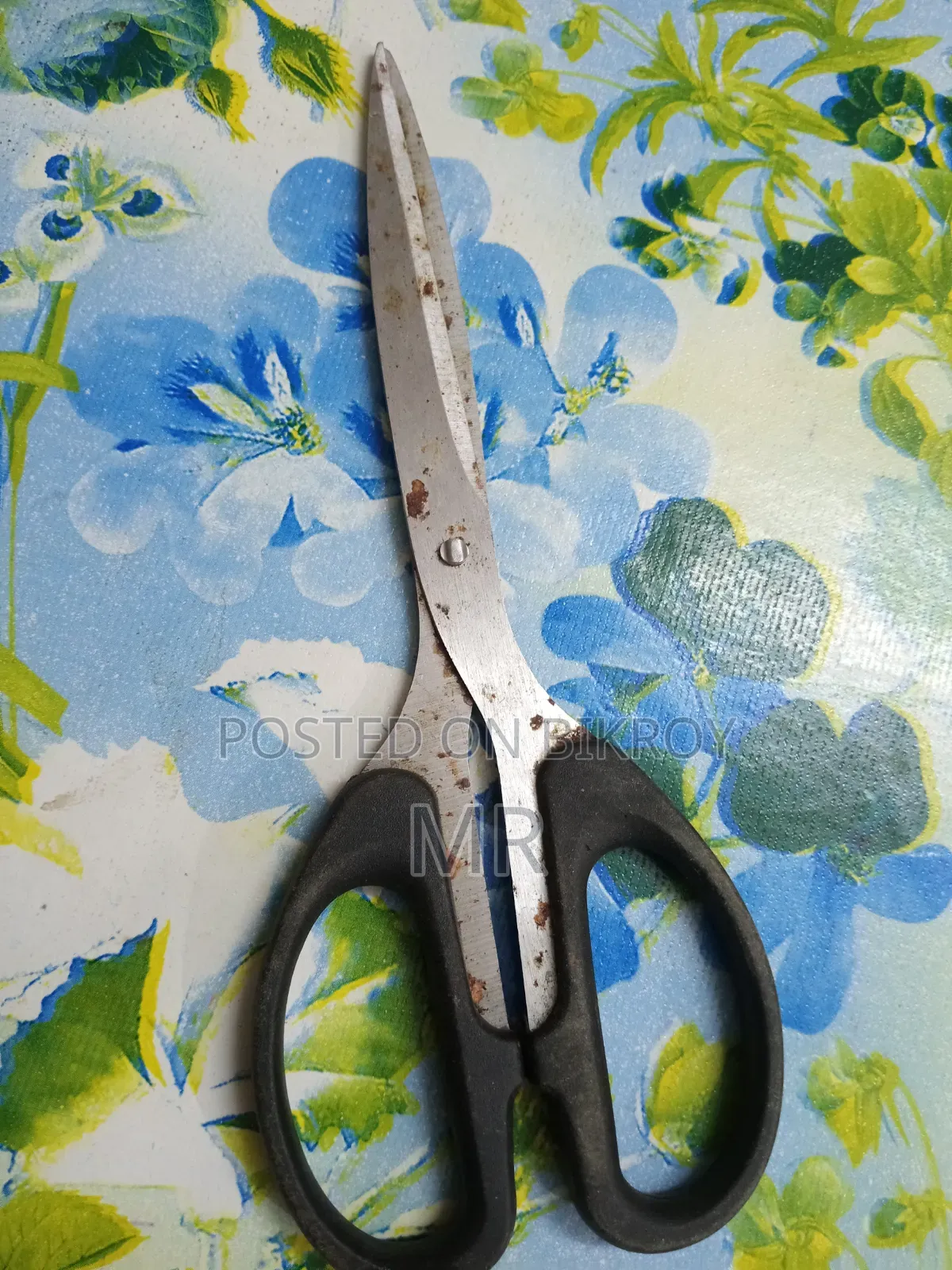 Kachi | Scissors | Cutting Tool (Scissors), a Soft or Young State