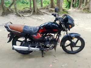 Hero 2010 Black