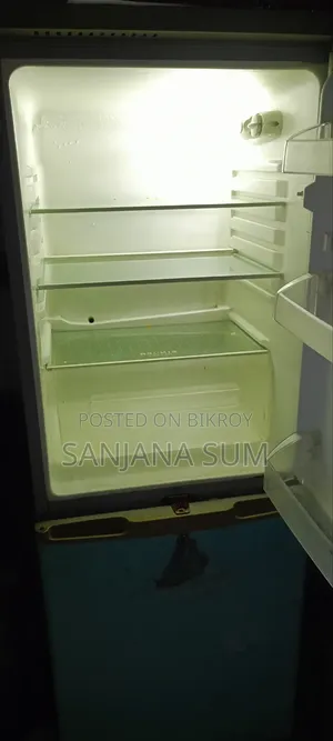Singer Fridge
