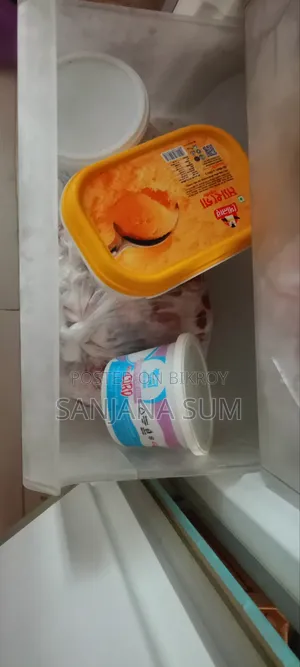 Singer Fridge