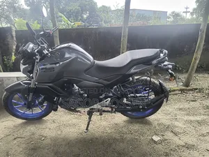 ইয়ামাহা এফজেডএস ভি৪ ২০২৫ গ্রে