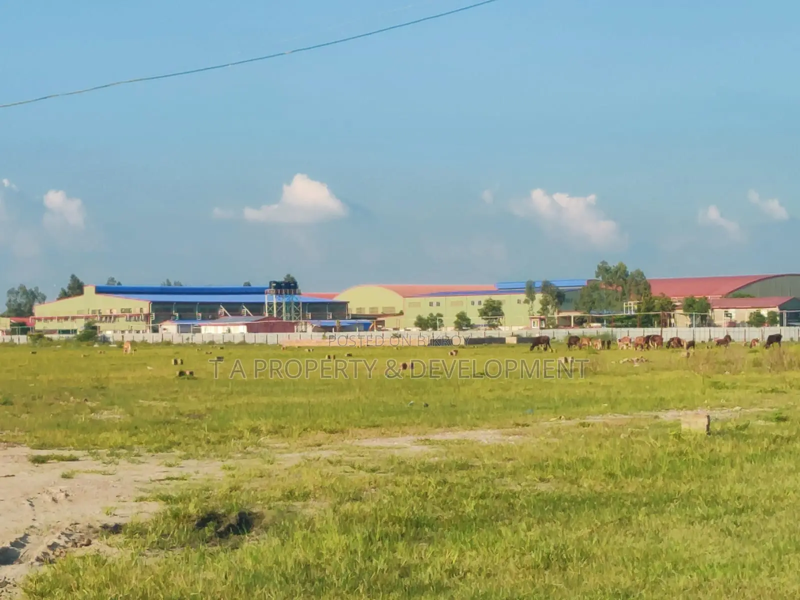 12 Katha Corner Plot in N-Extension for Sale