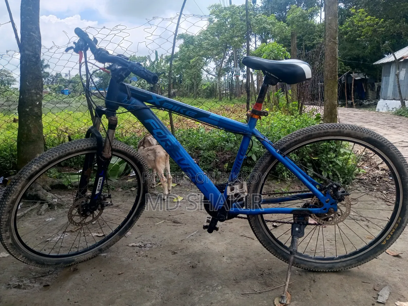 Urgent Sale cycle