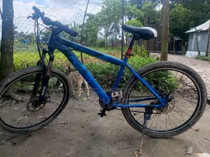 Urgent Sale cycle