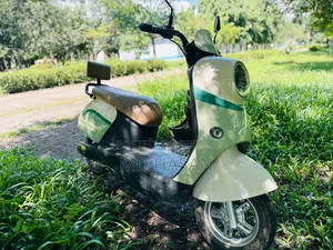 Motorcycle 2025 Green