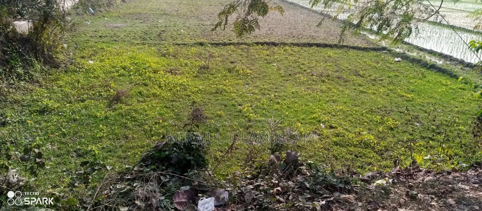 Land Sale